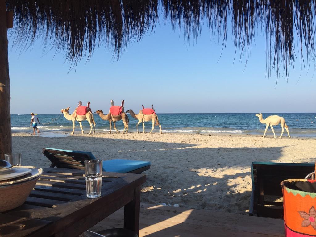 Mezraia Hotel Djerba Orient מראה חיצוני תמונה